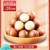 網(wǎng)紅同款高端堅果休閑零食夏威夷果250g袋裝批發(fā)代發(fā)