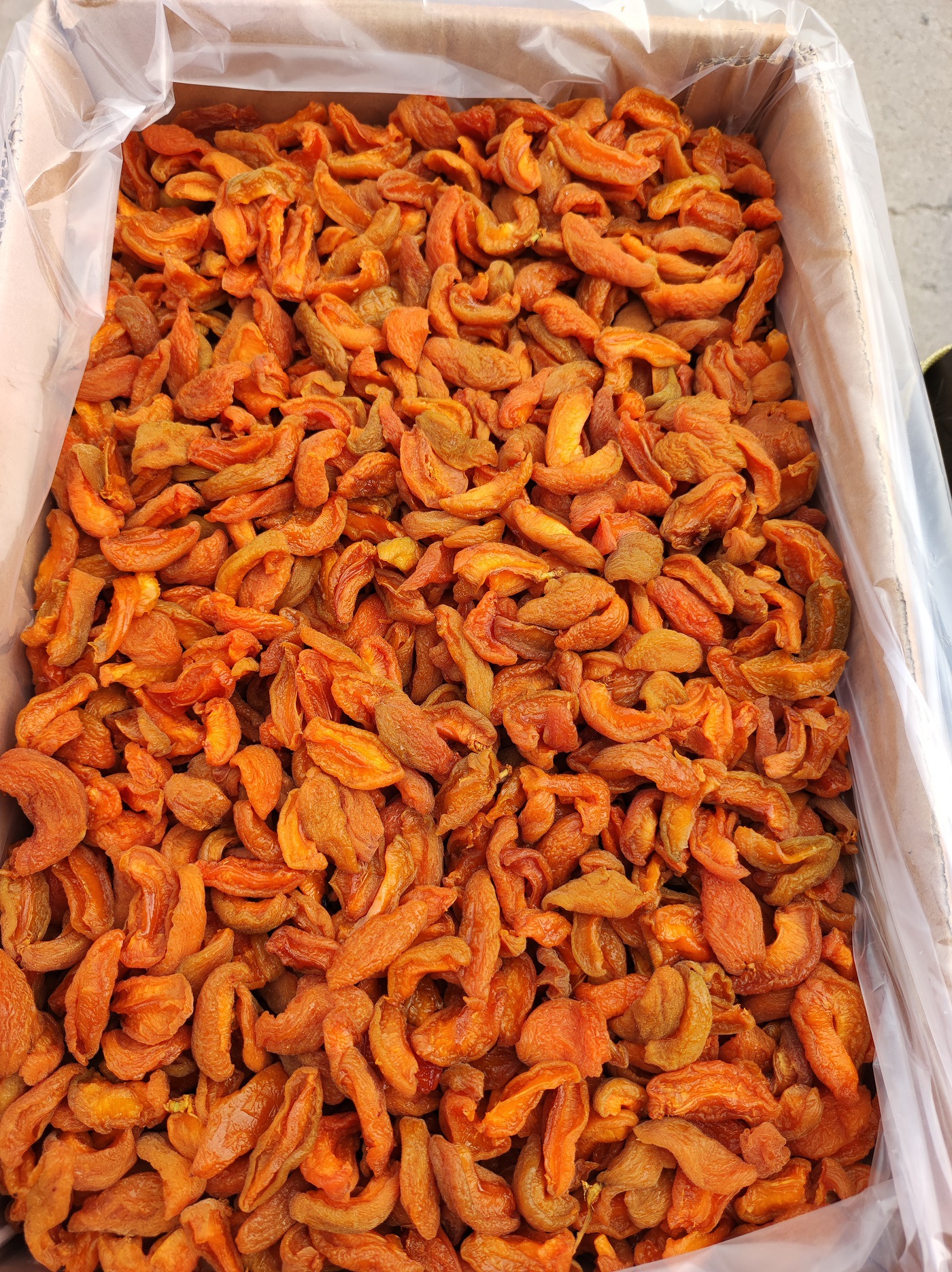 微信圖片_20210802133048