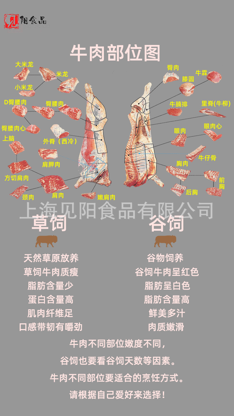詳情圖4(牛肉部位說(shuō)明）.png