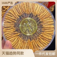 顧源堂 特惠3000條規(guī)格凍干草 一手貨源冬蟲(chóng)夏草 足干飽滿 無(wú)斷草