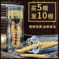 正品蟲草干貨新鮮野生冬蟲夏草小瓶裝西藏那曲冬蟲夏泡酒煲湯