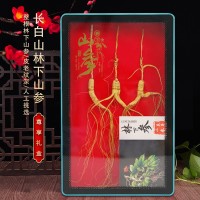 長(zhǎng)白山林下山參10g3支裝10年以上整枝林下山參禮盒滋補(bǔ)品干參送禮
