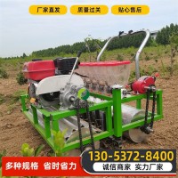 小型香菜精播機電動白菜菠菜芹菜點播機 汽油手推式蔬菜播種機