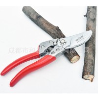 綠點日本進(jìn)口枝剪修枝剪園藝花草花剪修理樹枝修剪果樹枝條剪刀