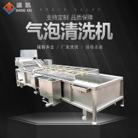 中藥材氣泡清洗機凈菜加工設(shè)備水果蔬菜辣椒清洗 萬能氣泡清洗機
