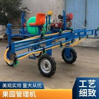 宏源機械 小麥玉米三輪打藥機 節(jié)水省藥雙發(fā)動機噴霧消毒器