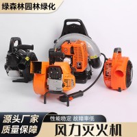 廠家直供風(fēng)力滅火機(jī)大功率風(fēng)力沖程背負(fù)式大棚吹雪除塵風(fēng)機(jī)滅火器