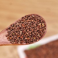 蘇子中藥材大貨批發(fā)榨油料蘇麻紫蘇熟蘇籽一件代發(fā)代客磨粉紫蘇籽