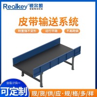 生產(chǎn)線輸送機(jī)廠家供應(yīng)電商物流快遞生產(chǎn)車間流水線皮帶傳送機(jī)