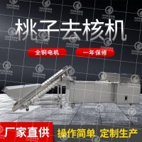 大型桃果肉分離機(jī) 桃子去核切瓣機(jī) 可定制加工