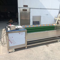 洗果機，清洗機，花生果清洗機，蔬菜清洗機，去皮機
