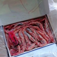 俄羅斯超低溫甜蝦，壽司蝦，刺身日本料理