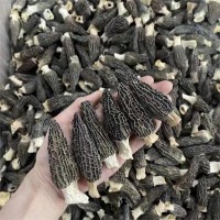 羊肚菌干貨特產(chǎn)批發(fā)5-8頭小個羊肚菌菇燉煲湯 云南野生羊肚菌批發(fā)