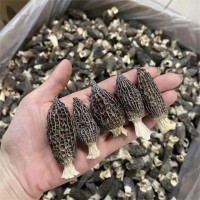 羊肚菌干貨特產(chǎn)批發(fā)4-6頭小個羊肚菌菇燉煲湯 云南野生羊肚菌批發(fā)