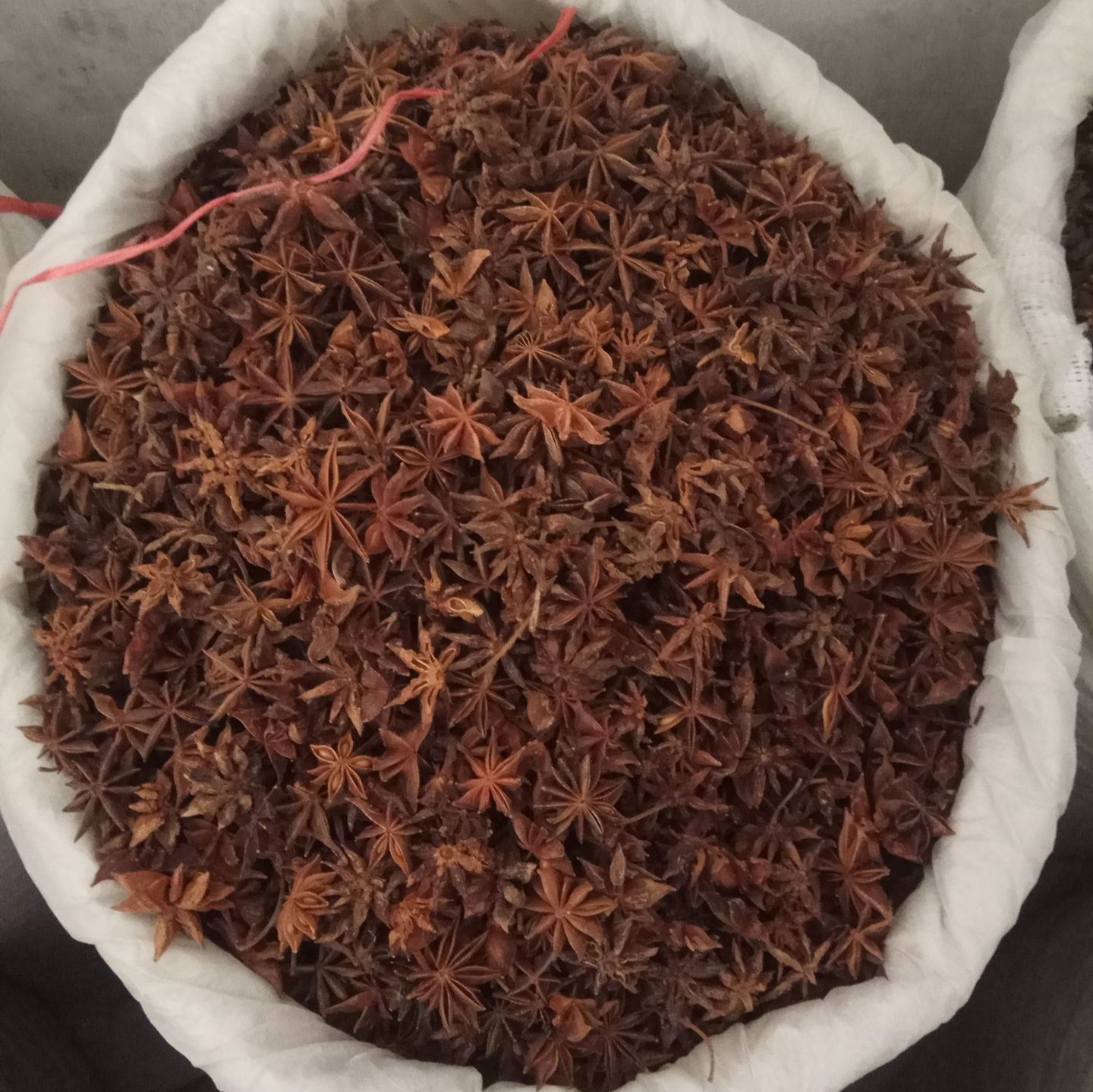 微信圖片_20210618161013