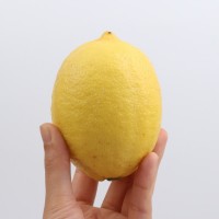 產(chǎn)地直供四川安岳黃檸檬新鮮整箱當季水果精選皮薄甜多汁檸檬