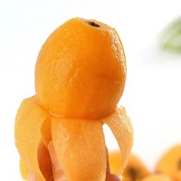 [順豐發(fā)貨]四川米易枇杷果新鮮采摘高山水果應(yīng)季琵琶果一件代發(fā)