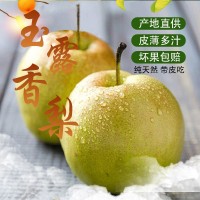 正宗玉露香梨脆甜無(wú)渣時(shí)令新鮮水果梨子特級(jí)應(yīng)季水果新鮮水果包郵