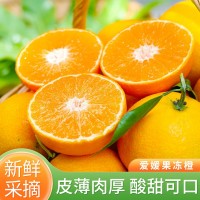 橙子四川愛媛橙38號果凍橙當季薄皮現(xiàn)摘新鮮水果橙手剝橙批發(fā)整箱