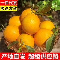 【產(chǎn)地直發(fā)】正宗贛南臍橙江西橙子現(xiàn)摘薄皮當季孕婦新鮮水果批發(fā)