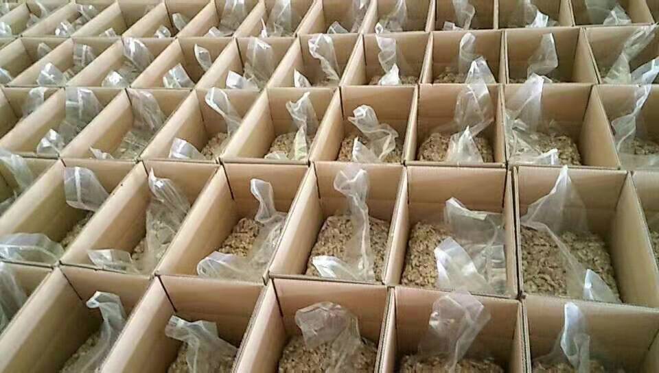 微信圖片_20190909091959