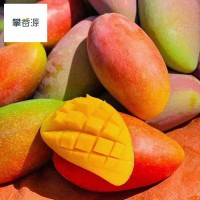 27號(hào)發(fā)攀枝花樹上熟細(xì)膩小貴妃5斤8斤普箱禮盒裝一件無痕代發(fā)