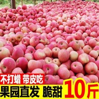 【全年款】陜西紅富士特大蘋果新鮮應(yīng)季水果脆甜多汁洛川當(dāng)季批發(fā)