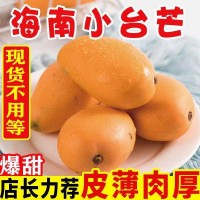 海南小臺(tái)芒香甜多汁3/5/9斤整箱批發(fā)代發(fā)包郵