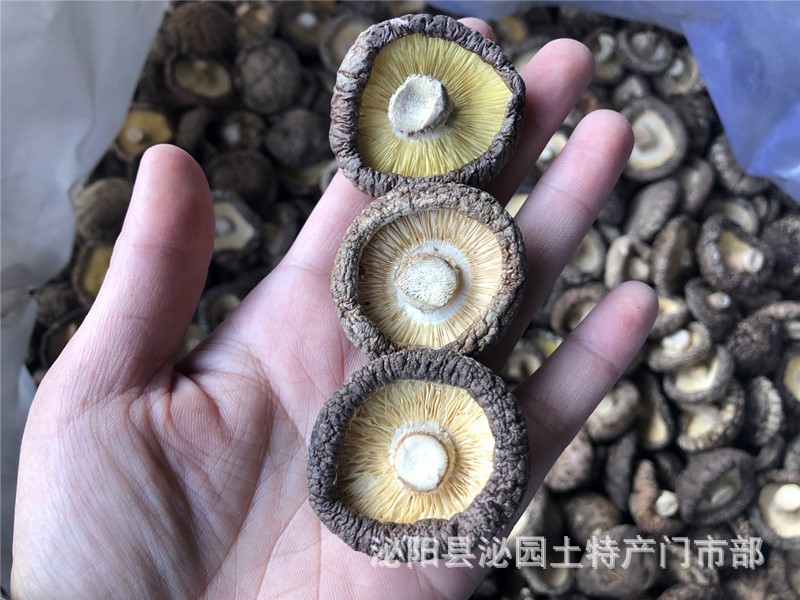 93edfb8701ce3f1de69daa4fbedfd1