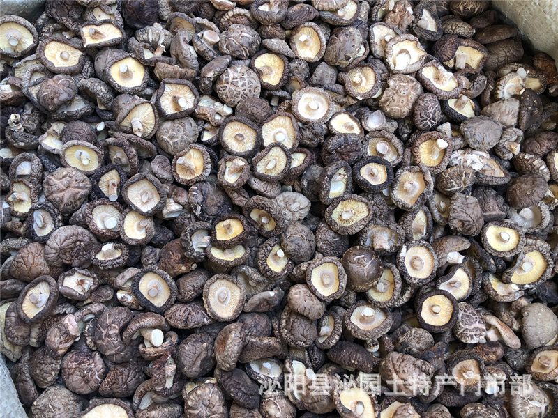 2aecad7c09ad657db90b81b1ac92e6