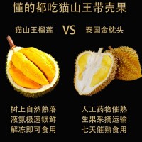 貓山王榴蓮D197AA果原箱整件馬來西亞進(jìn)口液氮冷凍新鮮批發(fā)