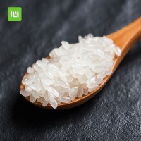 五常長粒香米5kg10斤裝廠家產(chǎn)地直發(fā)