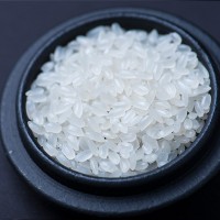 五常有機(jī)香米5kg10斤真空袋裝東北新米稻花長粒香米廠家批發(fā)代發(fā)