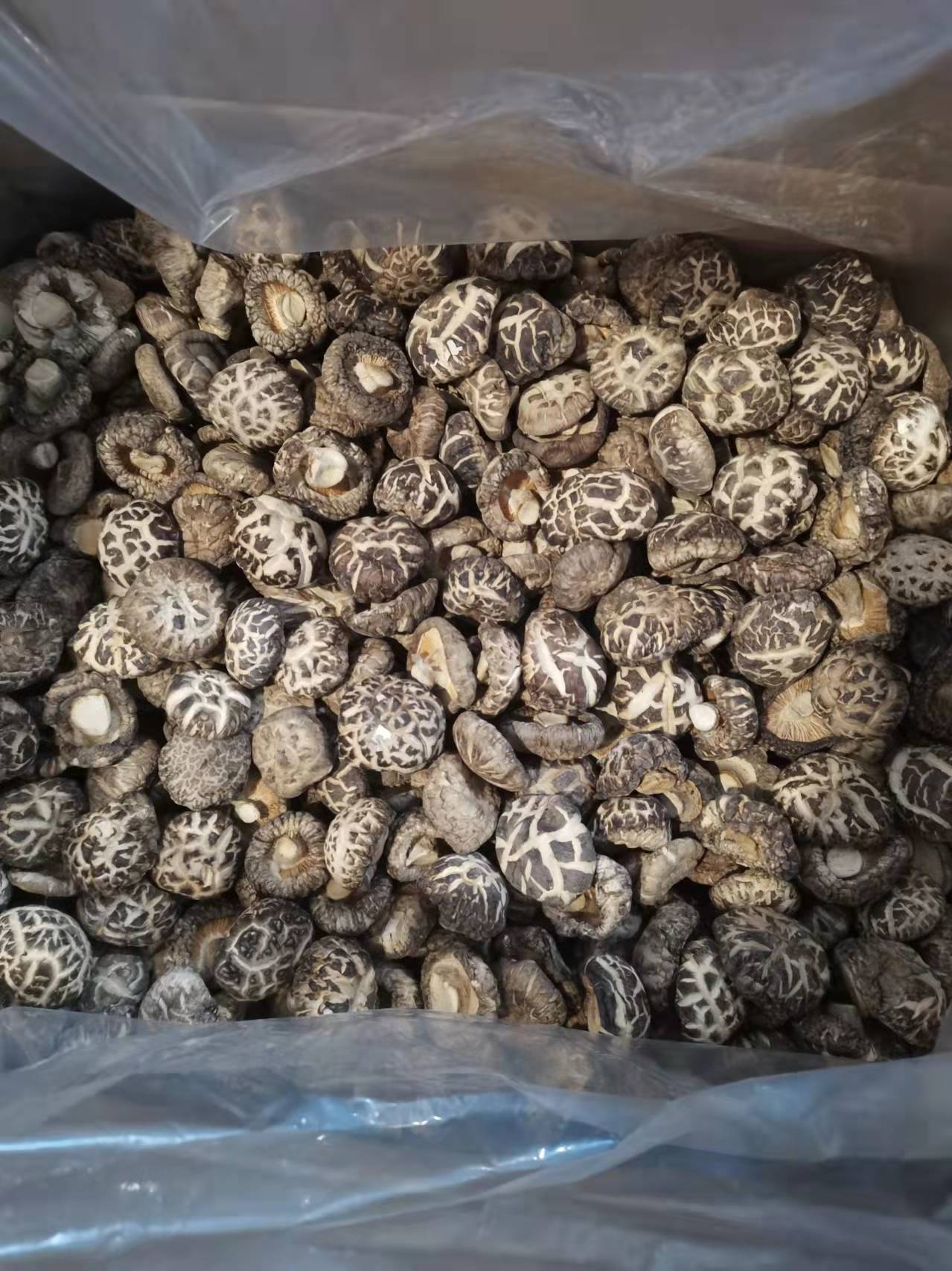 微信圖片_20211123180519