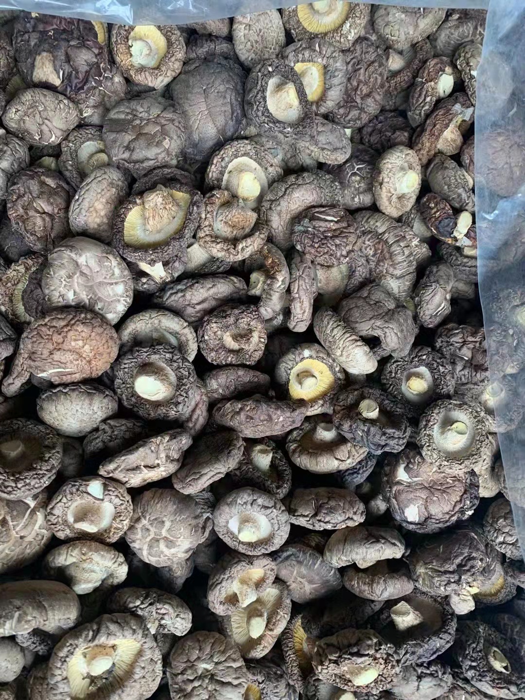 微信圖片_20211123222355