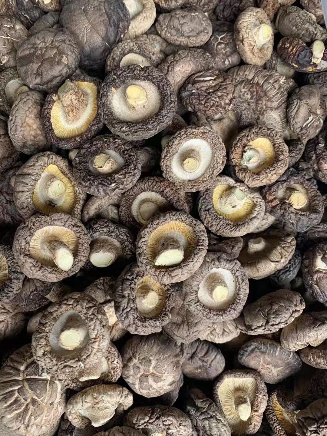 微信圖片_20211123222324