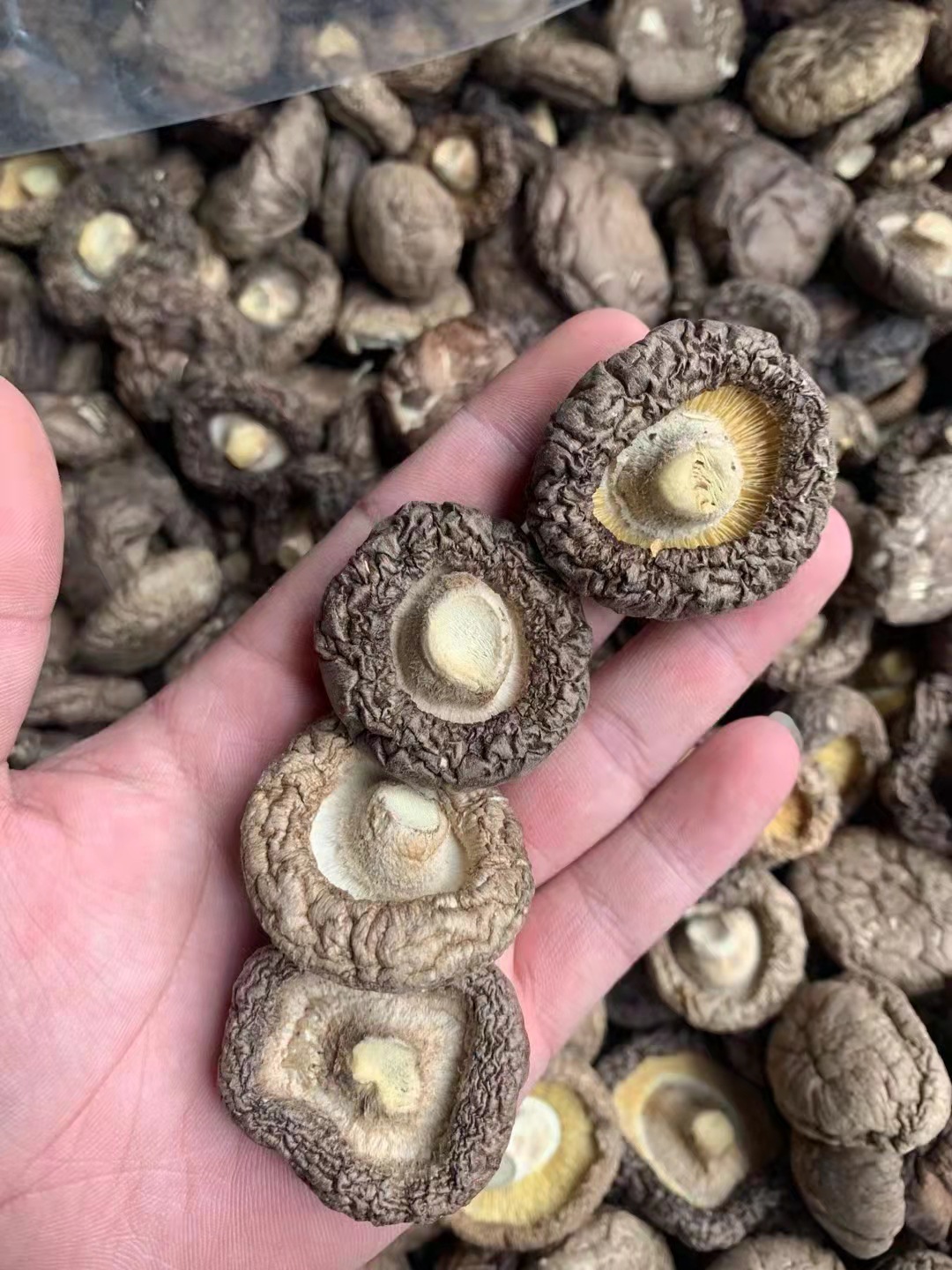 微信圖片_20211123222334