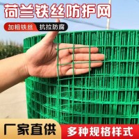 興來(lái)公司 雞鴨養(yǎng)殖鋼絲網(wǎng) 籬笆綠皮圍欄網(wǎng)生產(chǎn)廠