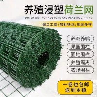 興來(lái) 山體防護(hù)鐵絲網(wǎng) 防落石固定焊接網(wǎng)生產(chǎn)廠