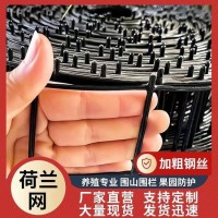 鍍鋅浸塑?chē)鷻?養(yǎng)殖金屬防護(hù)網(wǎng) 果園圈地鐵絲網(wǎng)