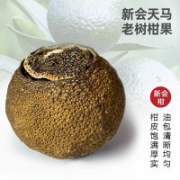 6年陳新會(huì)小青柑批發(fā)天馬生曬柑普茶小橘子小青桔陳皮普洱熟茶葉
