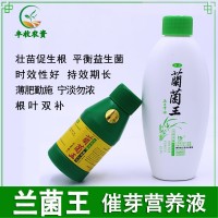 蘭花專用營(yíng)養(yǎng)液通用型蘭菌王促進(jìn)壯苗開花生根催芽有機(jī)液體肥料