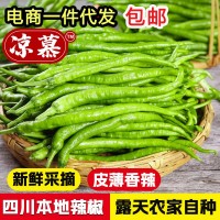 新鮮青辣椒青線椒薄皮辣椒尖椒二荊條辣椒5斤現(xiàn)摘蔬菜辣椒長(zhǎng)線椒