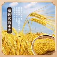 單位福利禮品團(tuán)購廠家直采小面餅蔬菜面南瓜面3.2斤禮盒裝帶手提