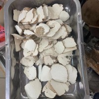 批發(fā) 虎乳菌 虎奶菌顆粒 虎乳片中片 煲湯食材供貨酒店 海味干貨