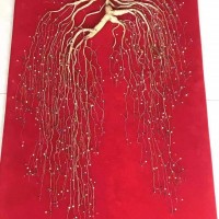 東北特產(chǎn)長(zhǎng)白山人參源頭直供特等純正野生人參