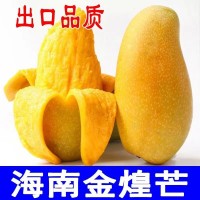 小臺(tái)芒