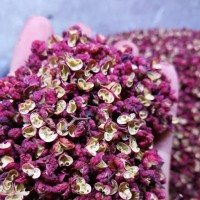 茂汶花椒大紅袍麻椒花椒粒特麻特香商用家用干紅花椒批發(fā)