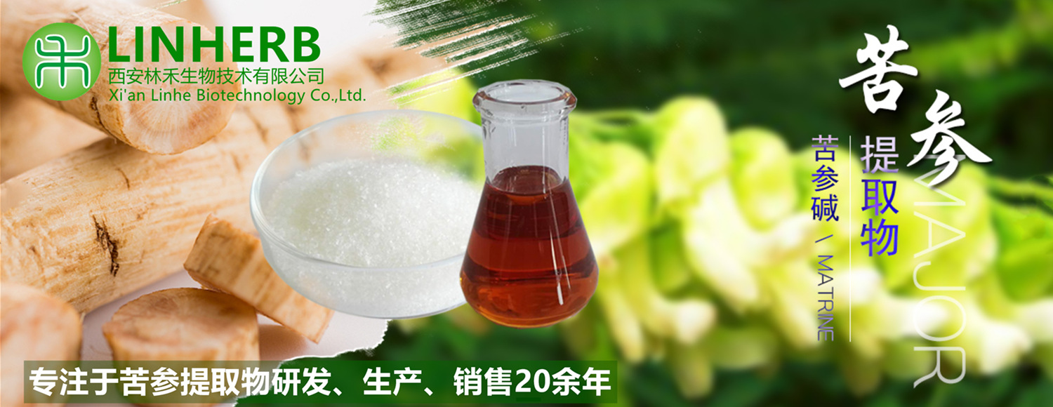 苦參提取物詳情抬頭_副本1