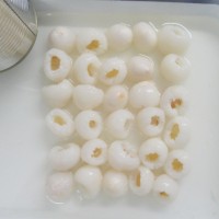 糖水荔枝水果罐頭300g*6罐/箱廠家直銷批發(fā)可出口內銷帖牌招商